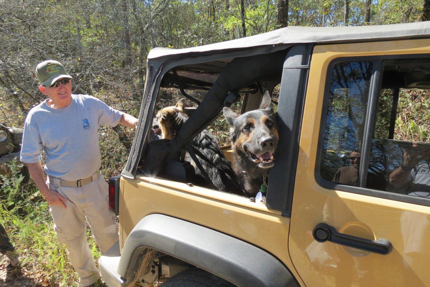 Jeep Gladiator Take dogs while offroading IMG_2813