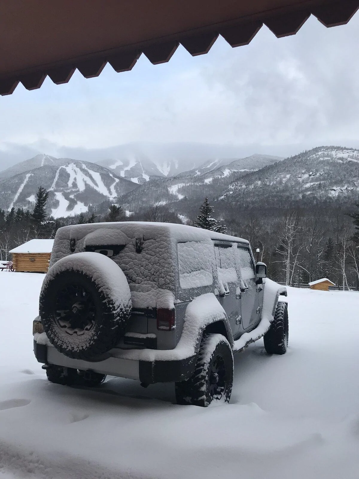 Jeep Gladiator My Punk’n Truck build thread ? 2A3FB784-B6A2-4F26-A313-DE5DA5F15A20