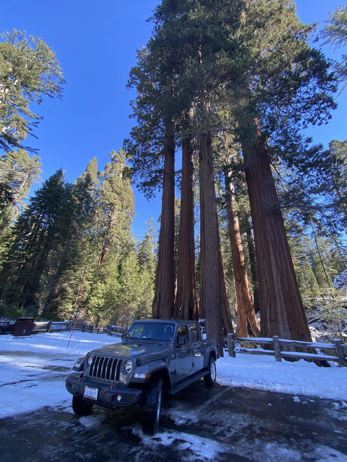 Jeep Gladiator What did you do WITH your Gladiator today? 3C662BF7-FFAC-435A-9780-68FA2C3E5F3E