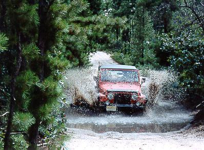 Jeep Gladiator Old School Jeeps 97TJ