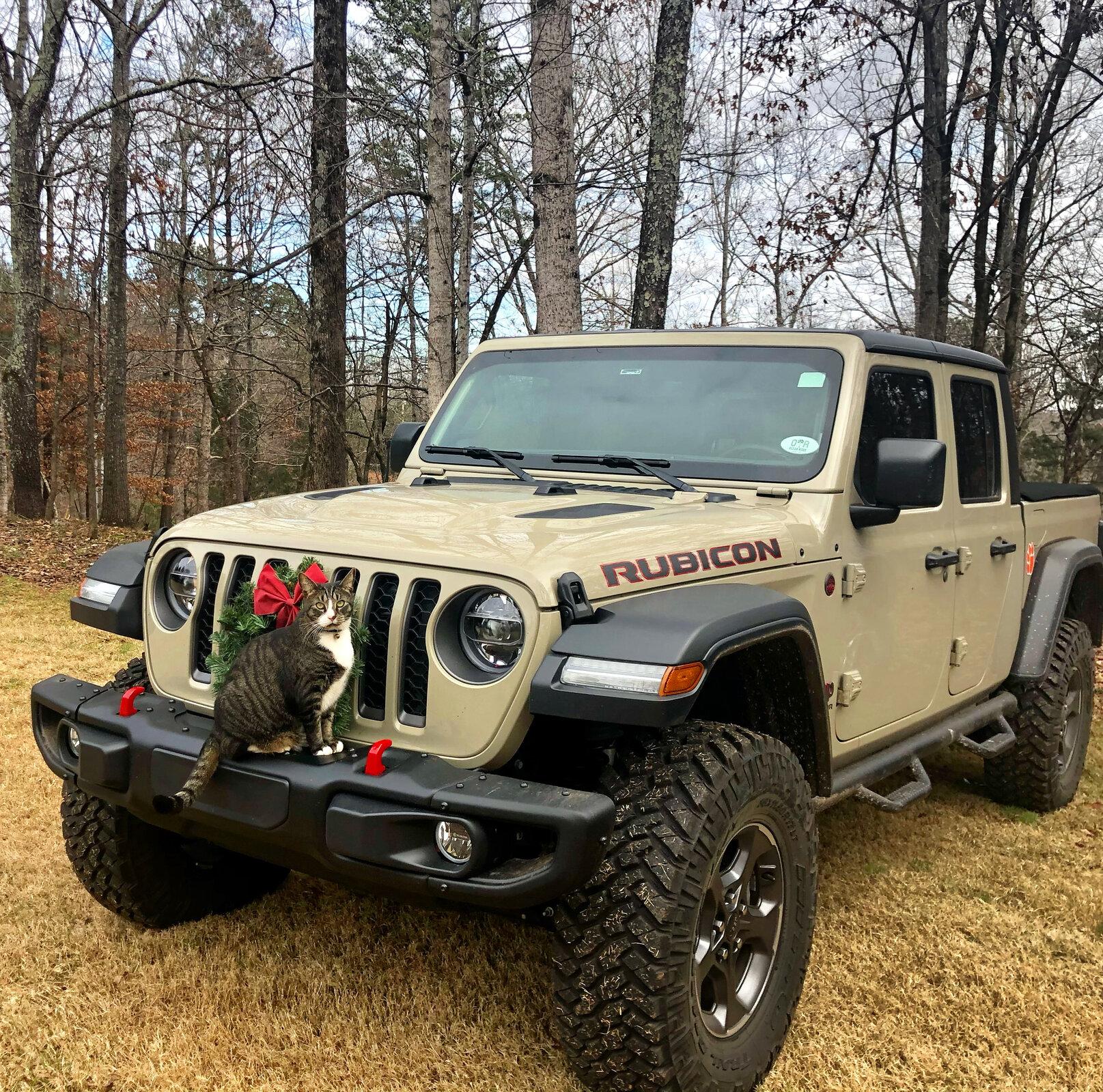 Jeep Gladiator New Winch FBB501DA-2425-45C4-9CE1-9BE24FE91F16