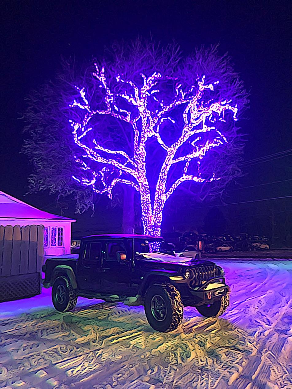 Jeep Gladiator I'm getting old. 31677F70-8373-420D-8976-D0BCCECCBD69