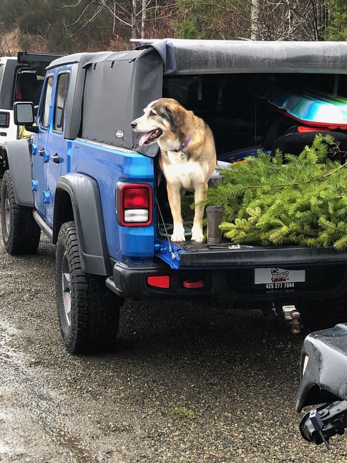 Jeep Gladiator 2020 Plywood Awards!!! Take 1