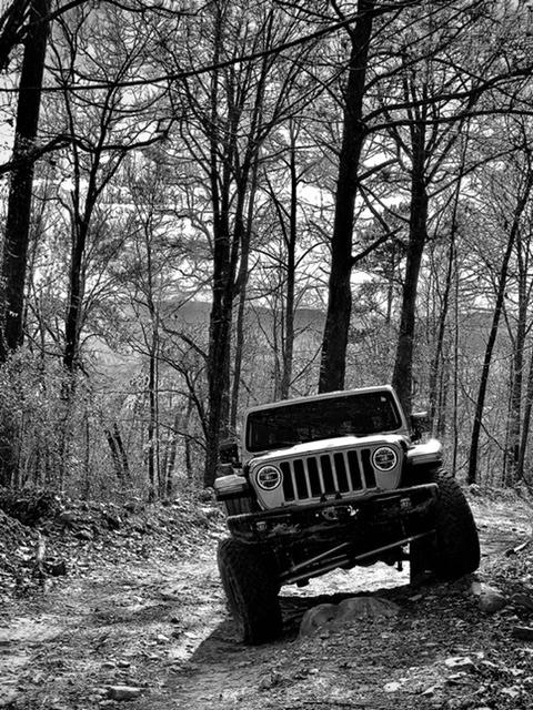 Jeep Gladiator Not just a pretty face A643A58B-6C40-4182-87D8-C5A1F68D7F64