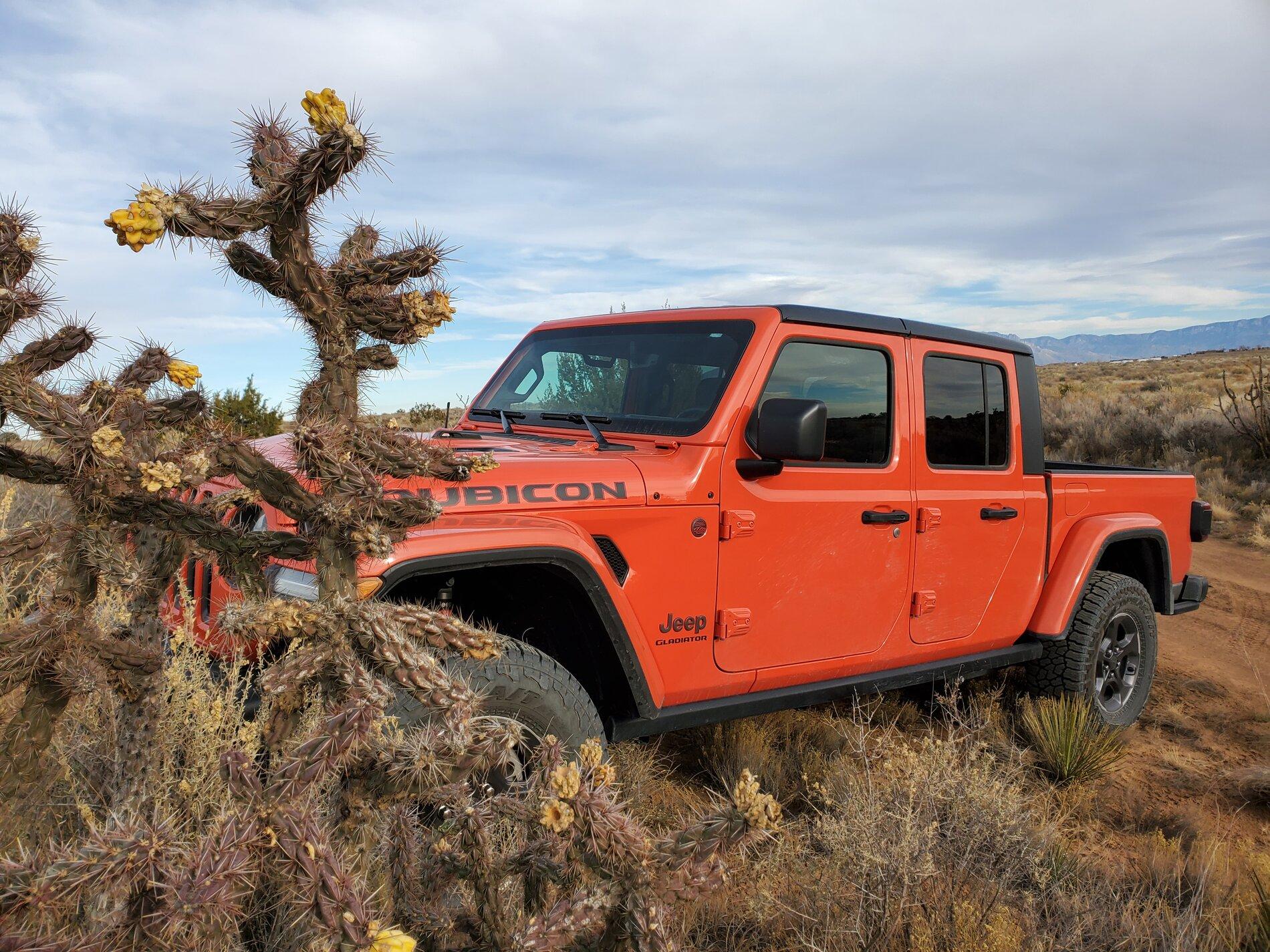 Jeep Gladiator -- 2020+ Gladiator Picture Game -- 20210102_151230