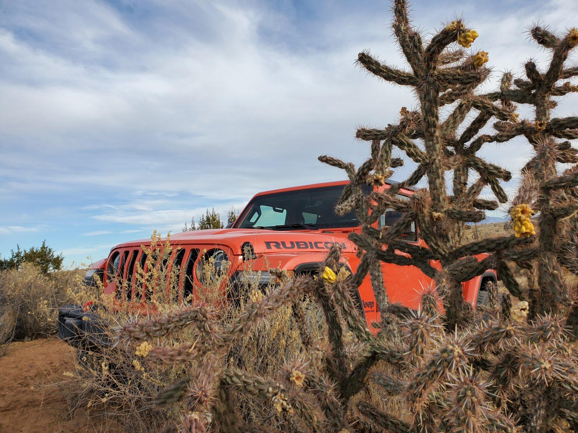 Jeep Gladiator -- 2020+ Gladiator Picture Game -- 20210102_151249