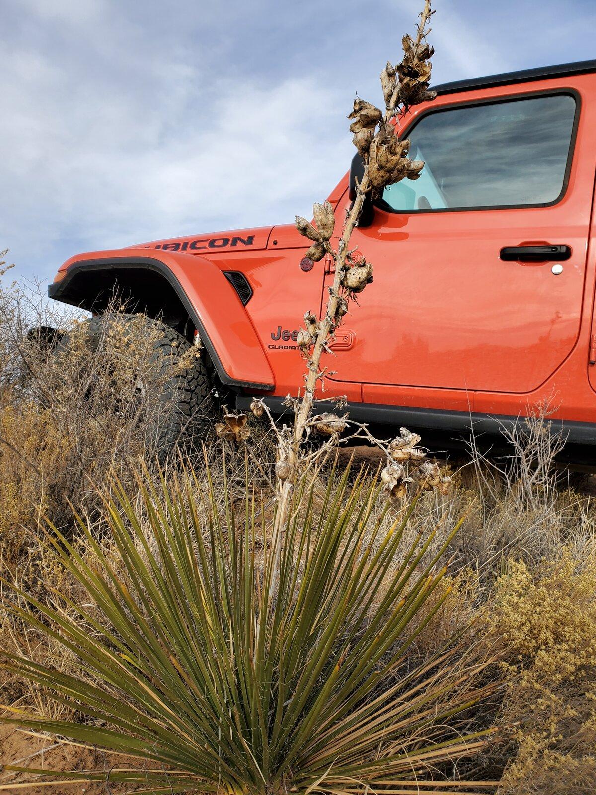 Jeep Gladiator -- 2020+ Gladiator Picture Game -- 20210102_151304