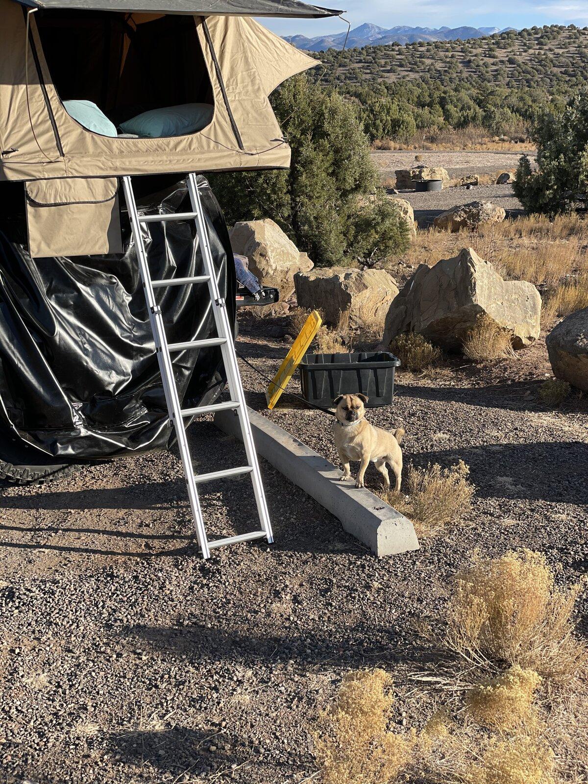Jeep Gladiator Tumbleweed Offroad... Errr, Overlanding 712B0C59-1F48-4771-B34B-F54C80FC7284