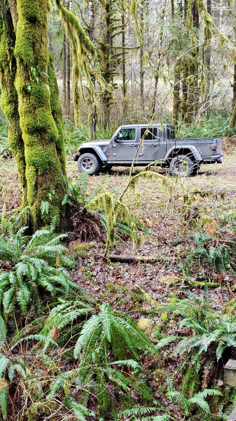 Jeep Gladiator Gladiator Glamour Shots 20210109_151133