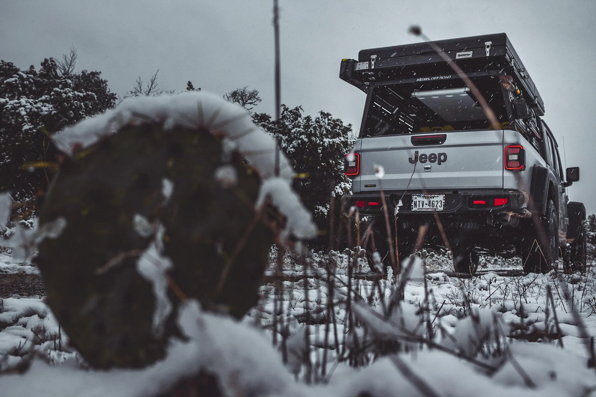Jeep Gladiator Jeepasaurus_Rex -- 2021 JTR diesel build - Overland _MG_8552