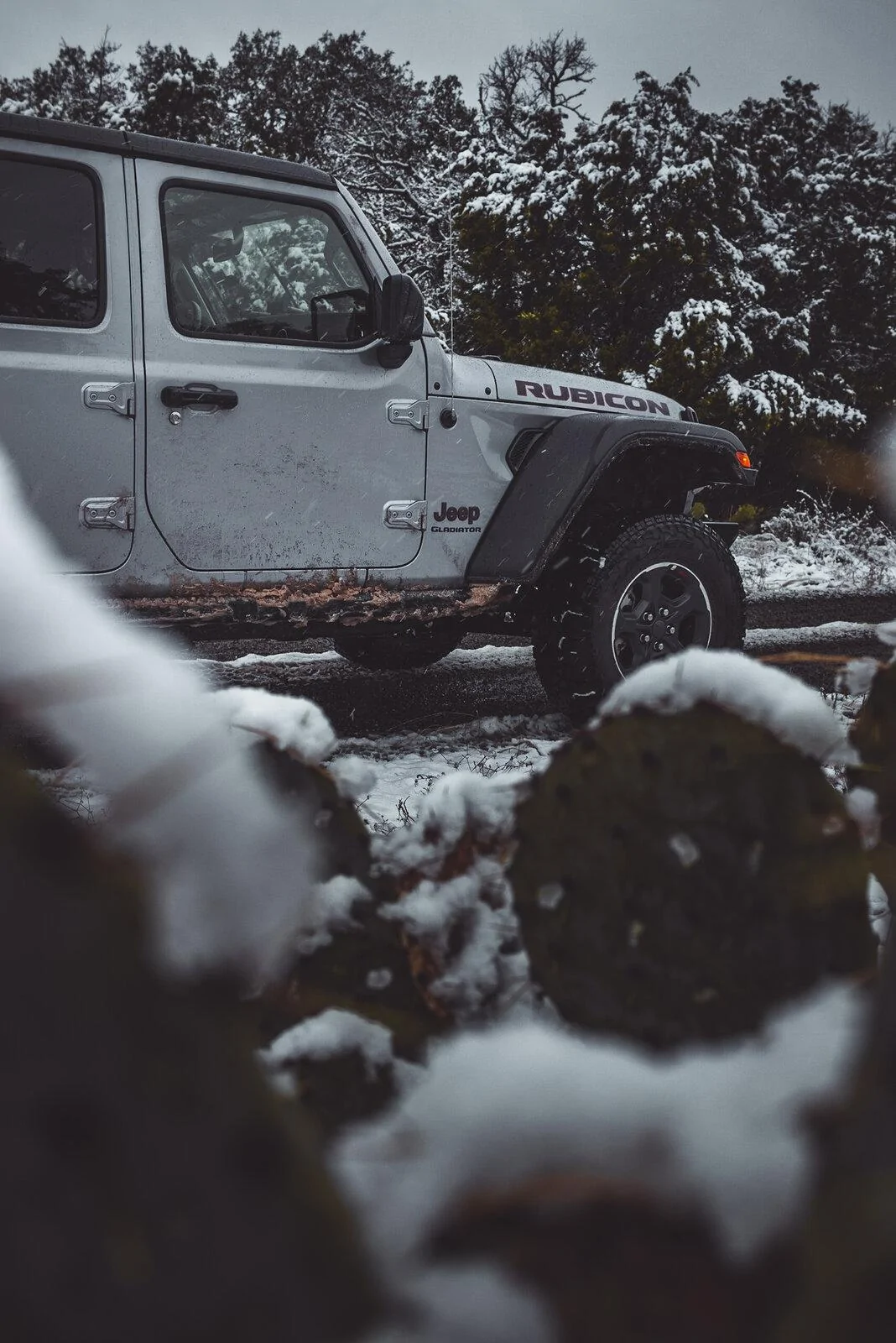 Jeep Gladiator Jeepasaurus_Rex -- 2021 JTR diesel build - Overland _MG_8560