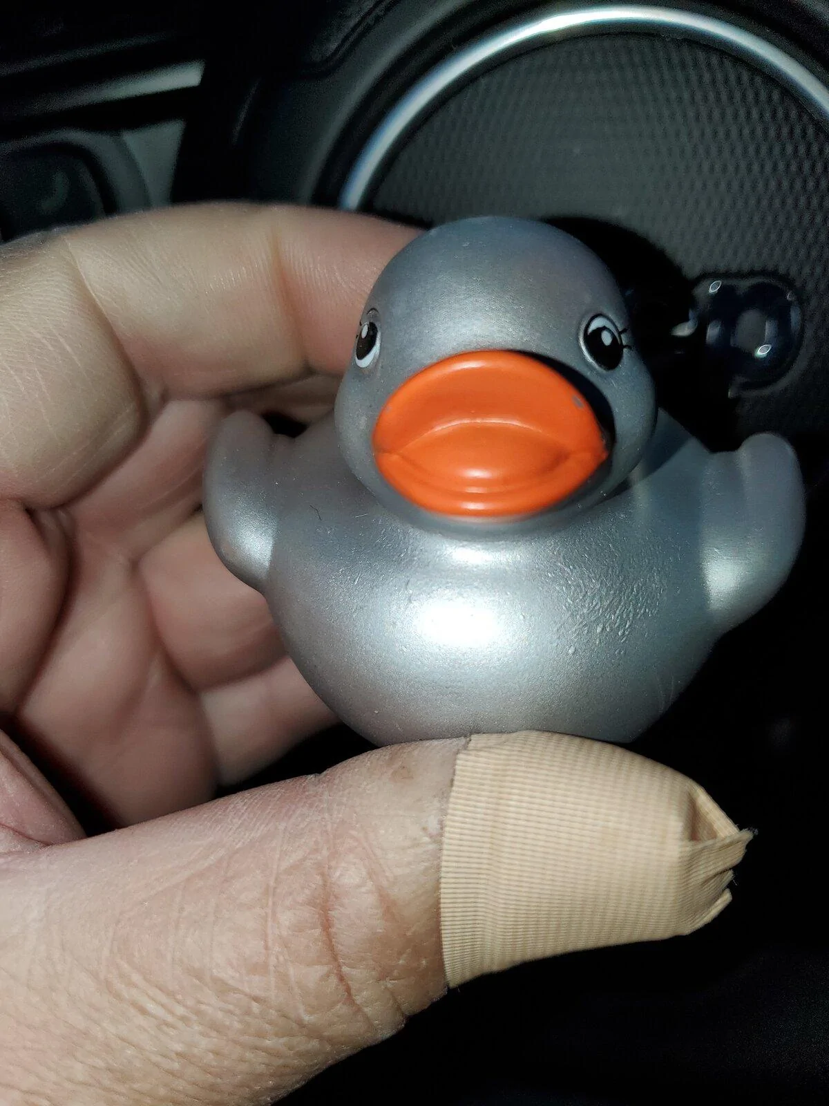 Jeep Gladiator Dumb question - found duck on my Jeep IMG_20210115_172339
