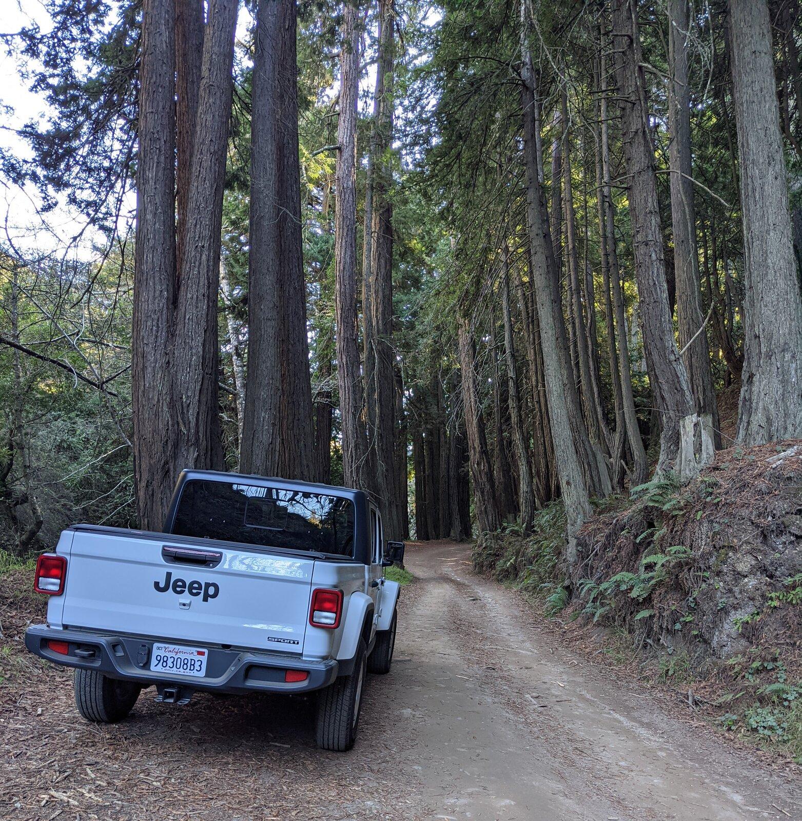Jeep Gladiator Big Sur - 18 Jan 2021 PXL_20210118_211934637