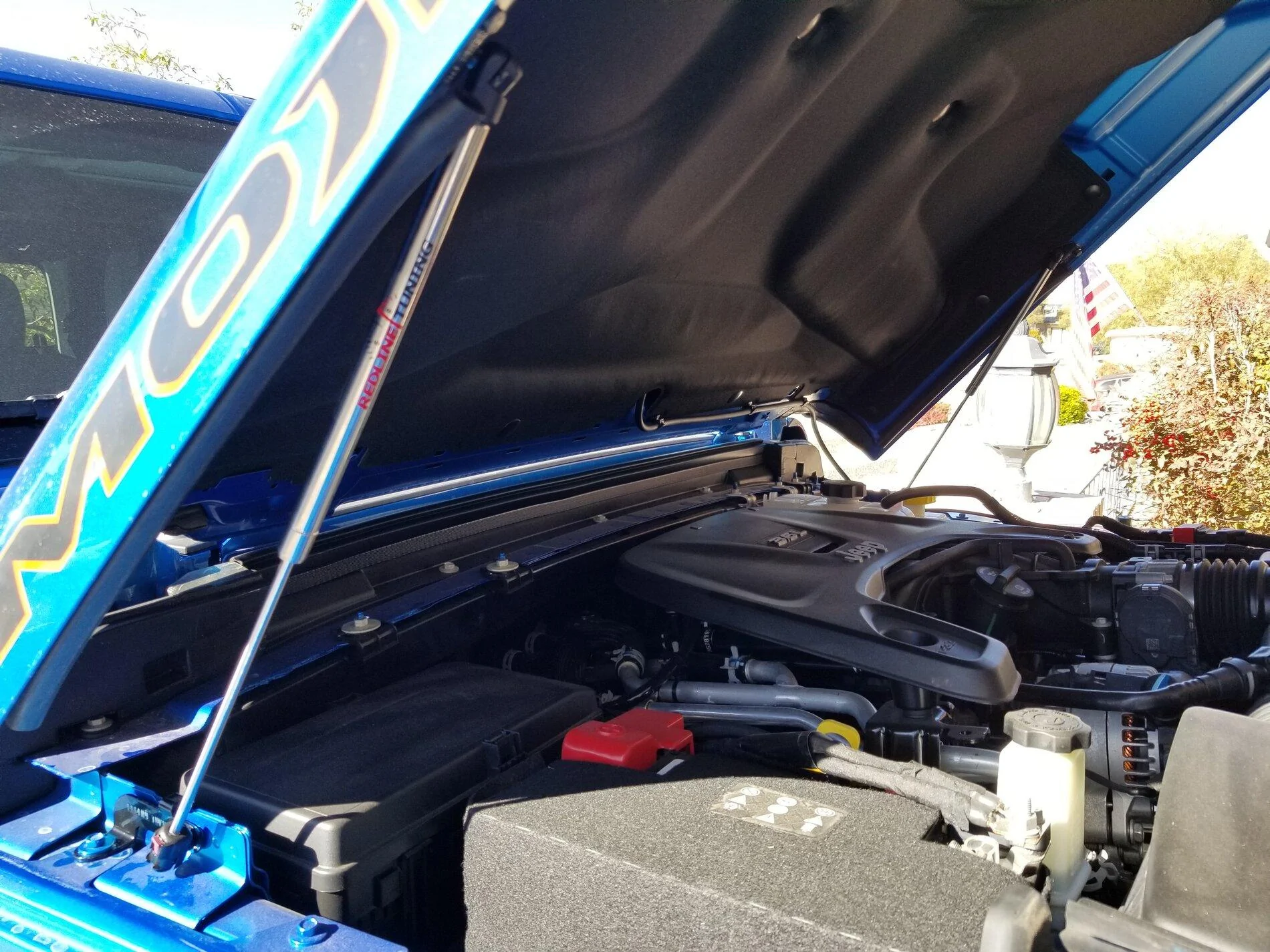 20210117_134453 - Copy.jpg