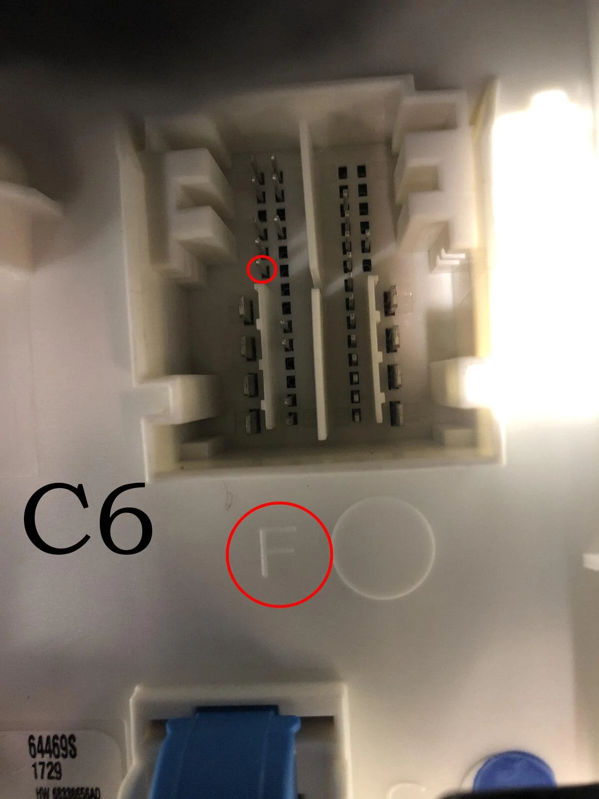 c6F.jpg