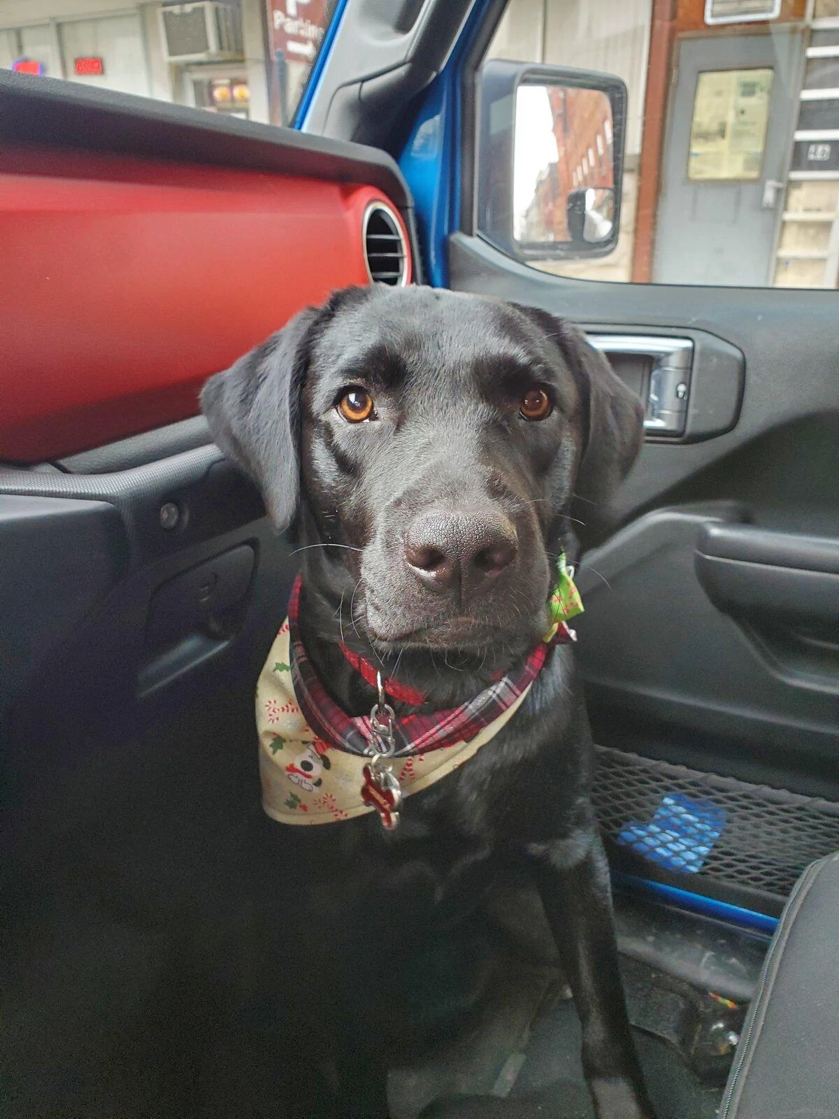 Jeep Gladiator Large Dog on Passenger Front Floorboard? 20201221_152620