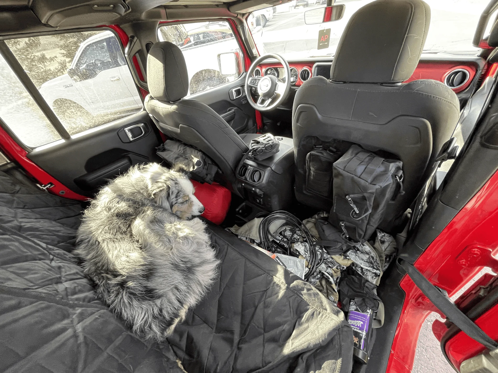 Jeep Gladiator Large Dog on Passenger Front Floorboard? tempImageUEkloV