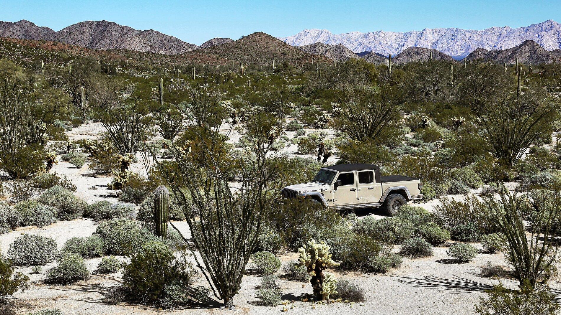 Jeep Gladiator Who Has Just The Soft Top???? El Camino del Diablo Feb 20, 5_4762, Mark's Jeep at Cabeza Prieta