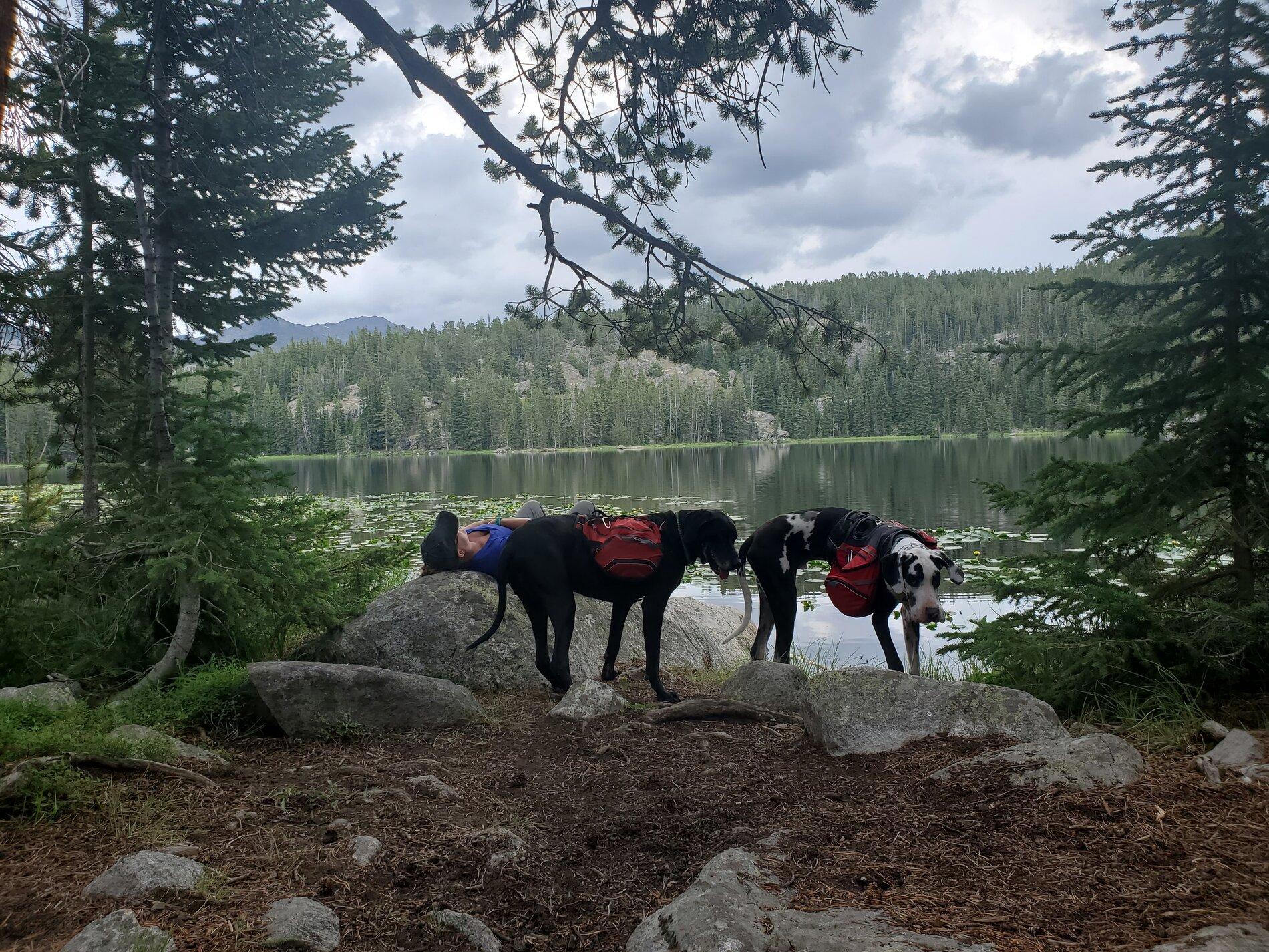 danes on a lake.jpg