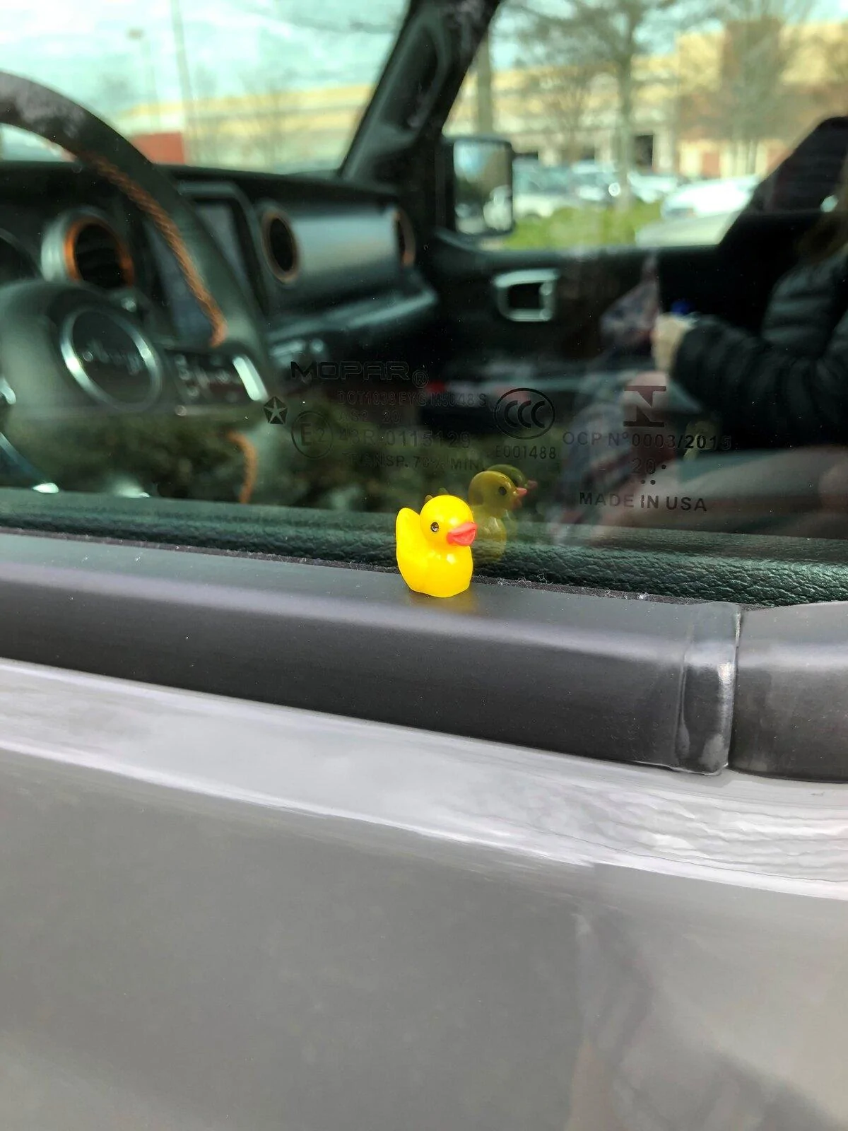 Jeep Gladiator Dumb question - found duck on my Jeep Jeep Duck (2021-01-24)