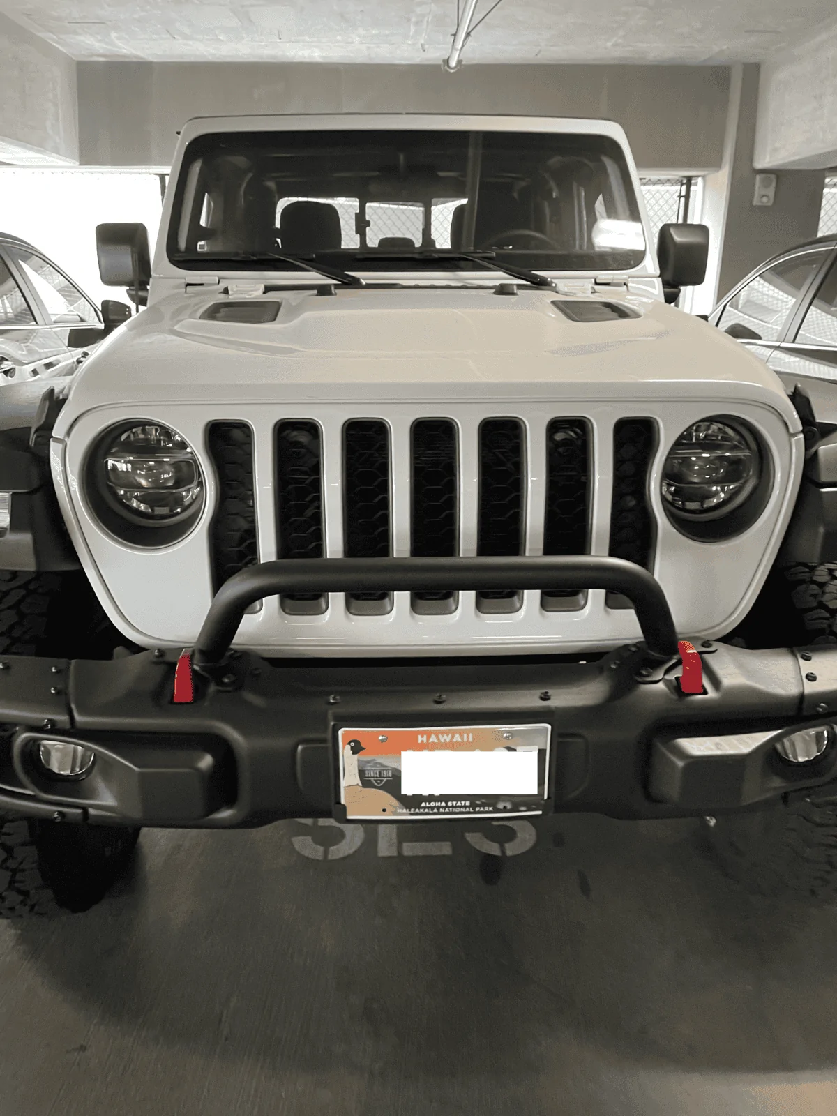 Jeep Gladiator What lights to install on low WARN grill guard? IMG_4451