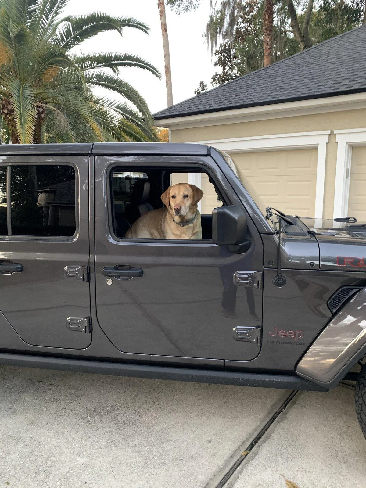 Jeep Gladiator Gladiator Dogs D4A39AEA-161D-46CA-8F55-52260B350CFF