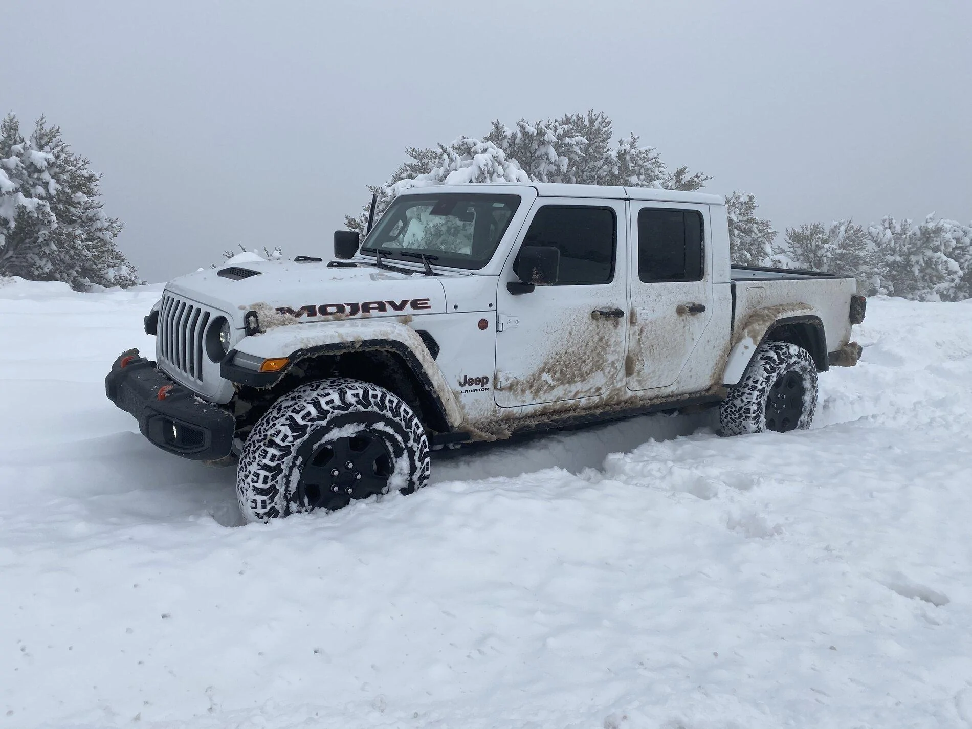 Jeep Gladiator Help me decide to go 35s or not on Mojave! 9D244CB7-4D8A-4242-B9BA-B068DC58353F