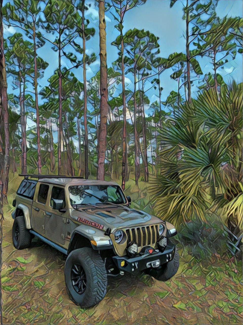 Jeep Gladiator Why was Gator and Gobi dropped? 18045390-D670-4D75-B99C-FCDF08E1D29D