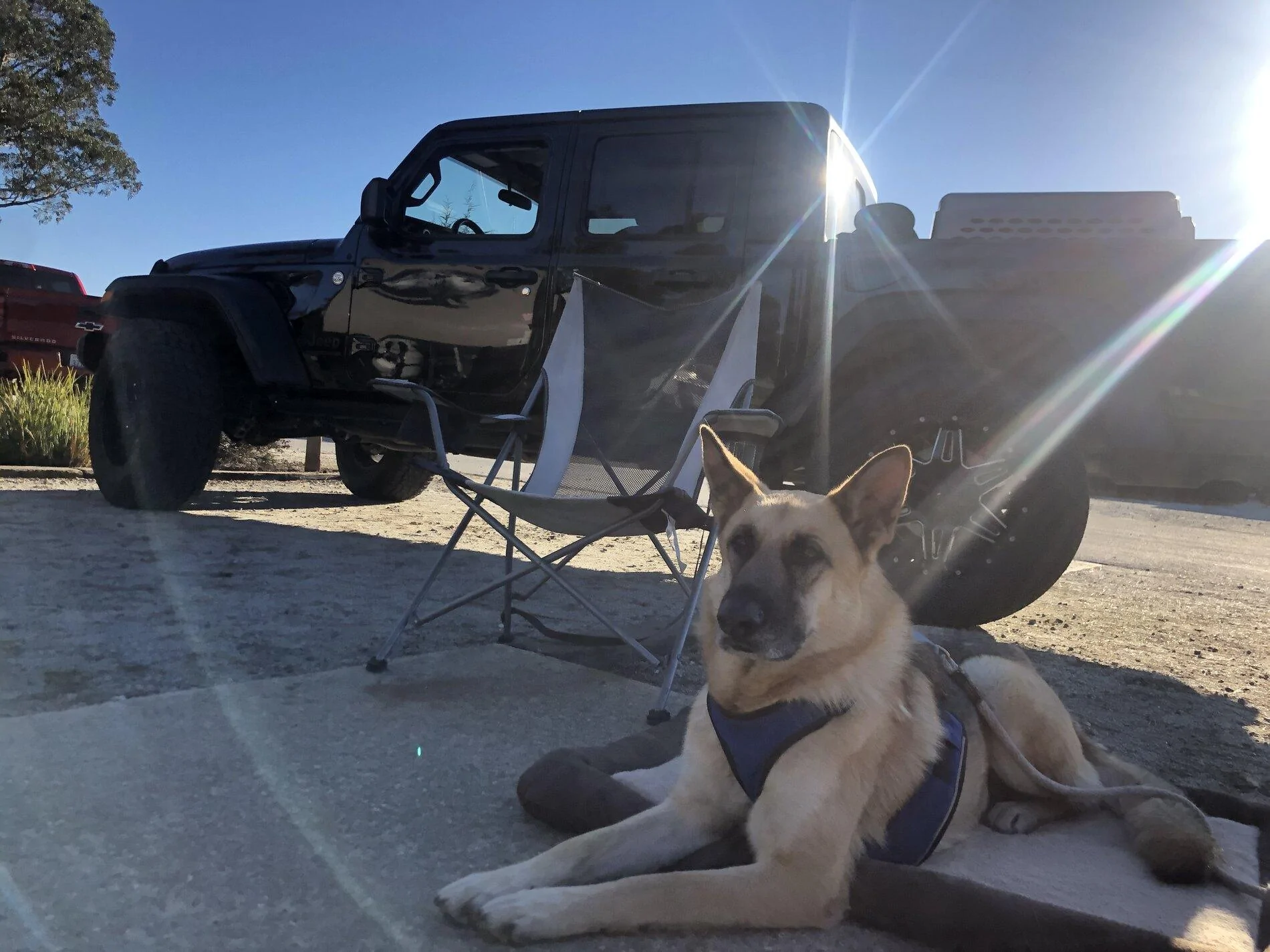 Jeep Gladiator What did you do WITH your Gladiator today? 837140E6-2AC1-45CB-88B9-ECC59AFF87D3