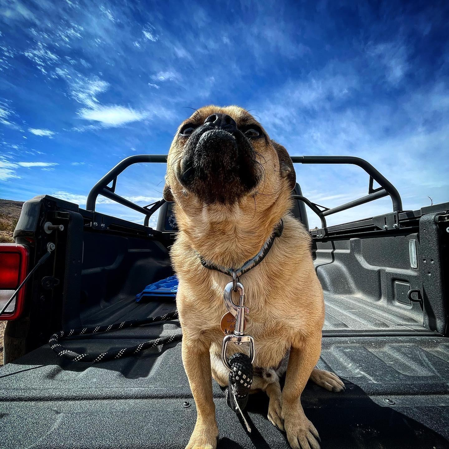Jeep Gladiator Tumbleweed Offroad... Errr, Overlanding F93B6C59-A6B0-4716-A557-C73256EE8A3E