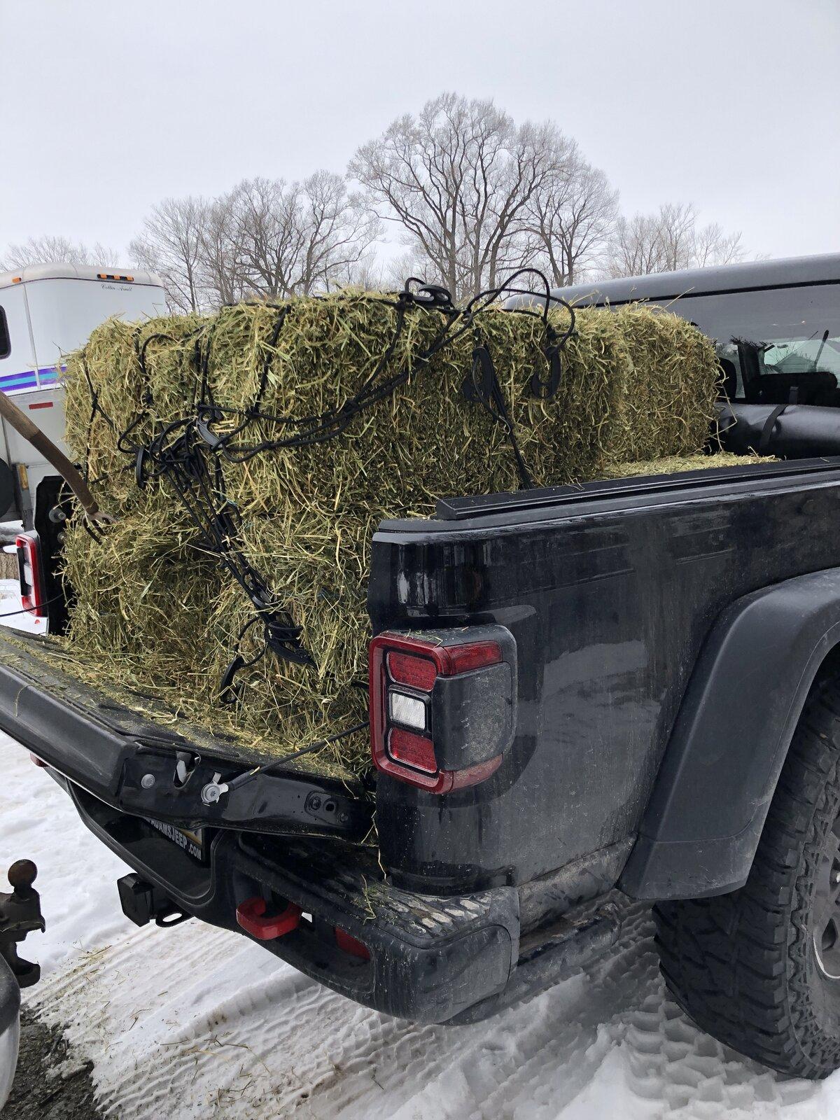 Jeep Gladiator What did you do WITH your Gladiator today? F9F6257C-92BF-4DCA-8F43-914AB18A569E