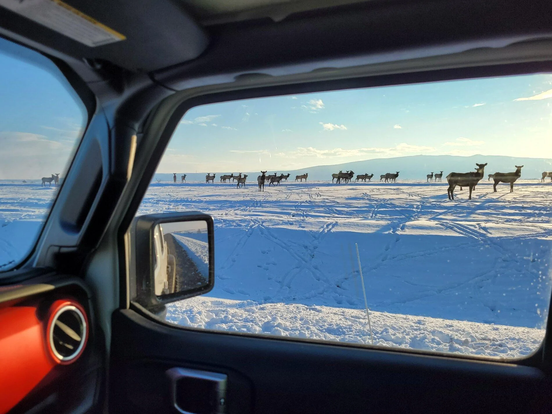 Jeep Gladiator Snow Pictures 20210216_162914