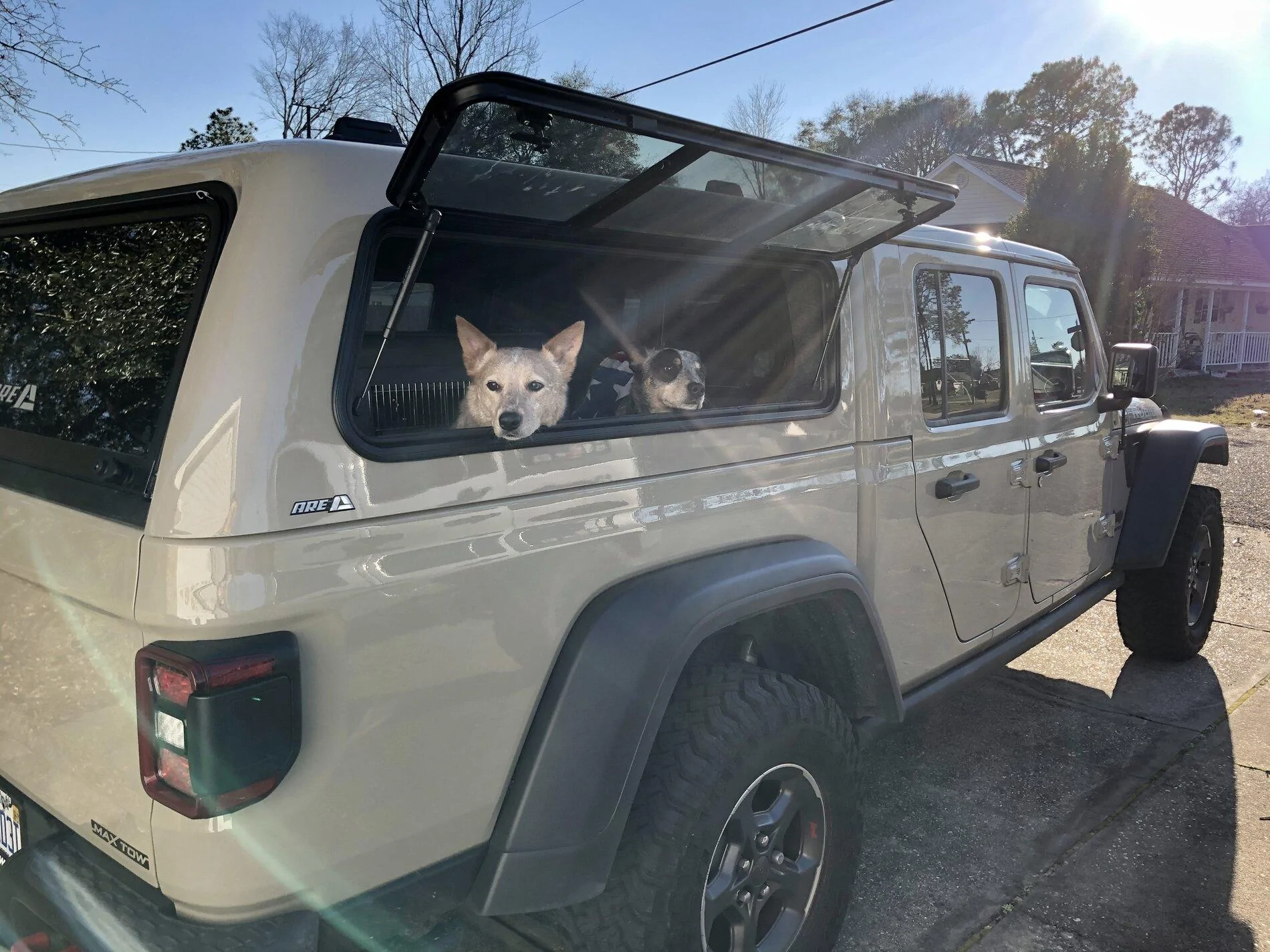 Jeep Gladiator What did you HAUL in your JT today? 32829683-1D1E-447F-AE50-404C0A9F358E