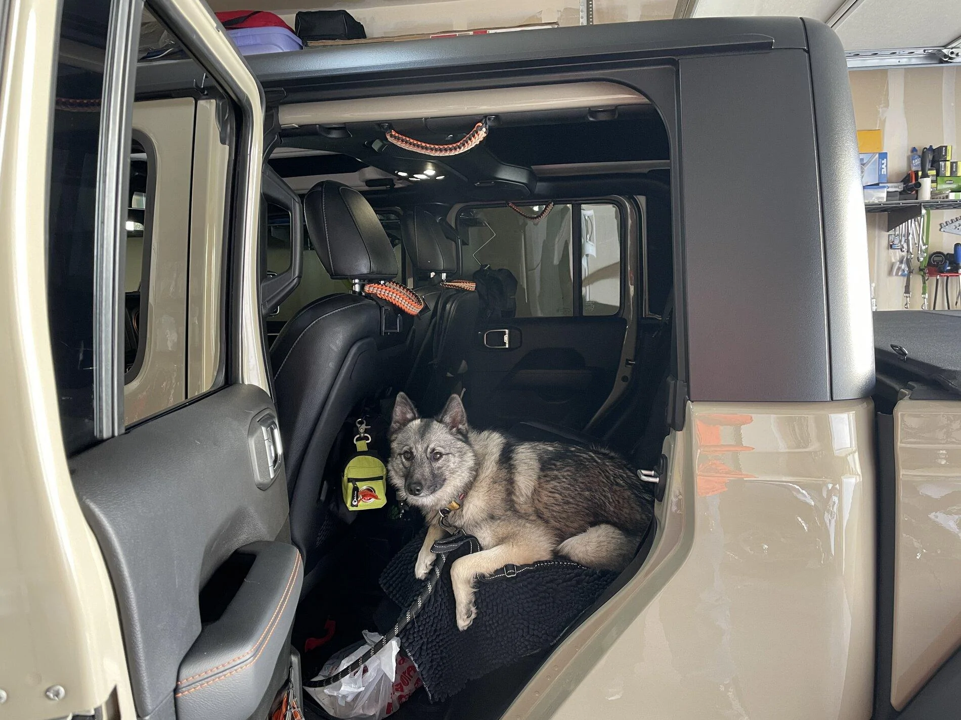 Jeep Gladiator Rear Seat Dog Protection (Non-Hammock) IMG_0902