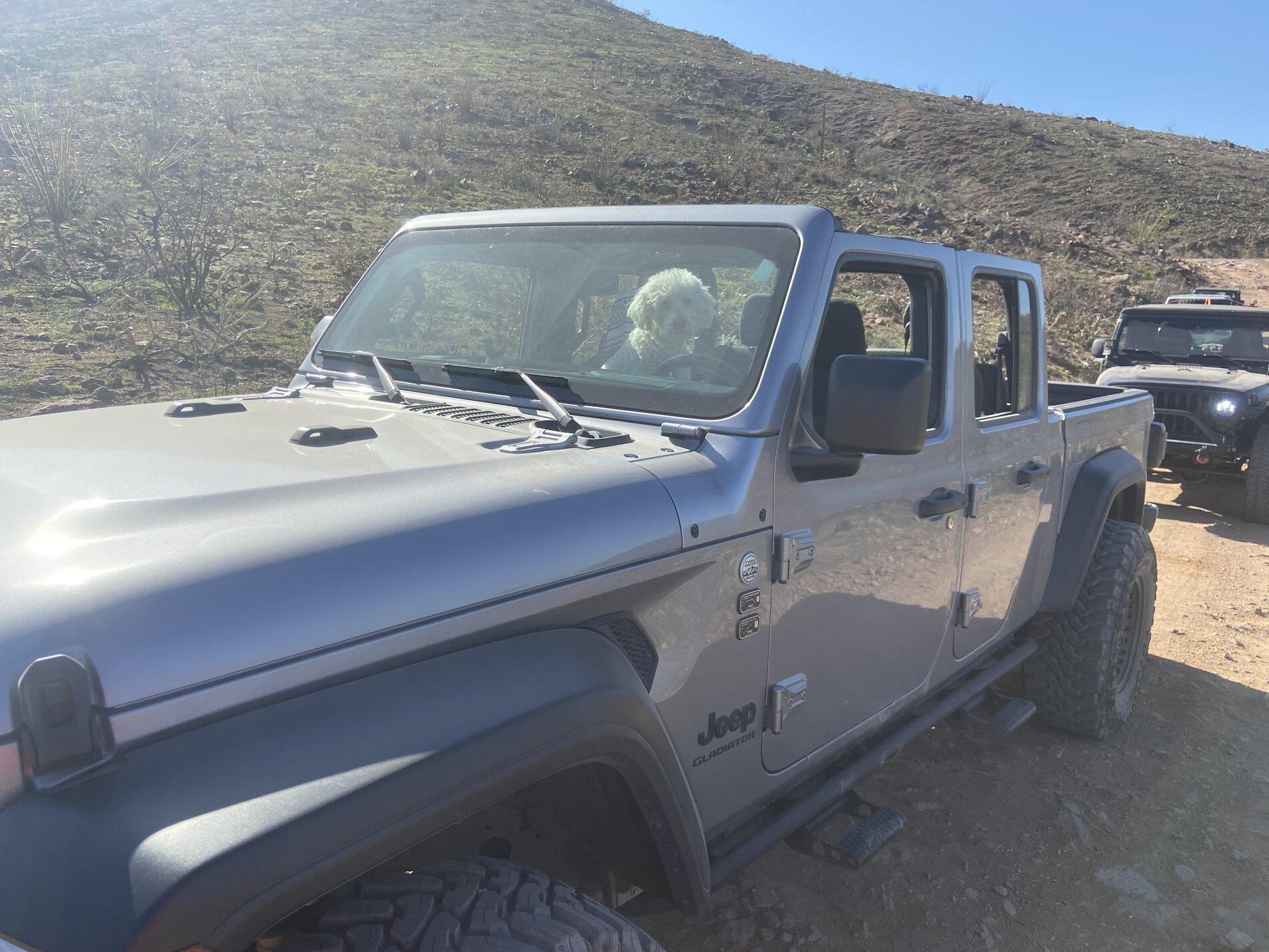 Jeep Gladiator What did you do WITH your Gladiator today? IMG_5198.JPG
