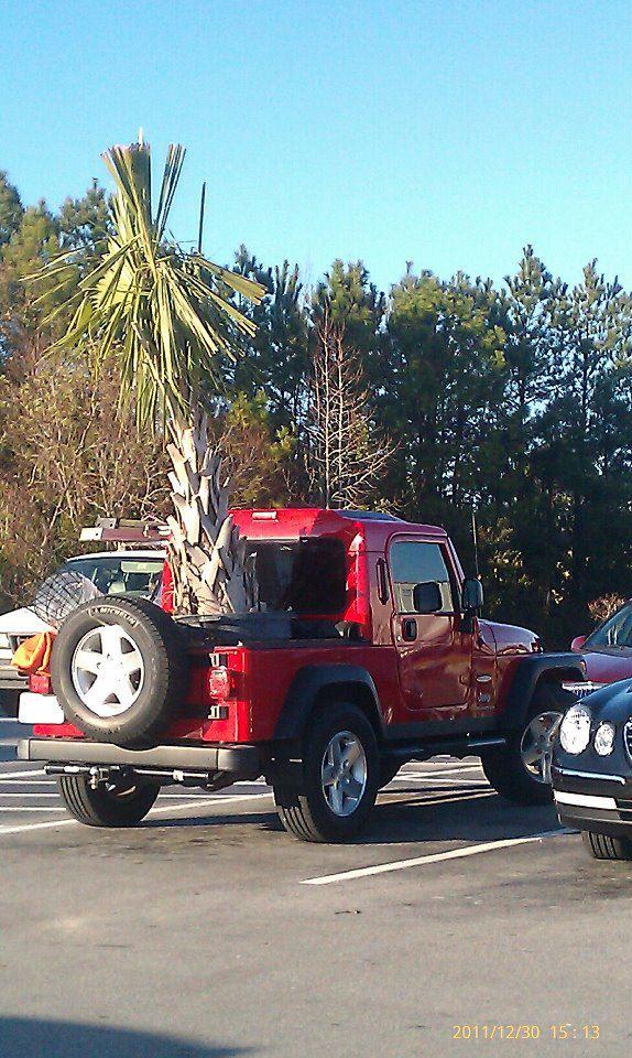 Jeep Gladiator This isn't my Gladiator, but...... Rubitrux