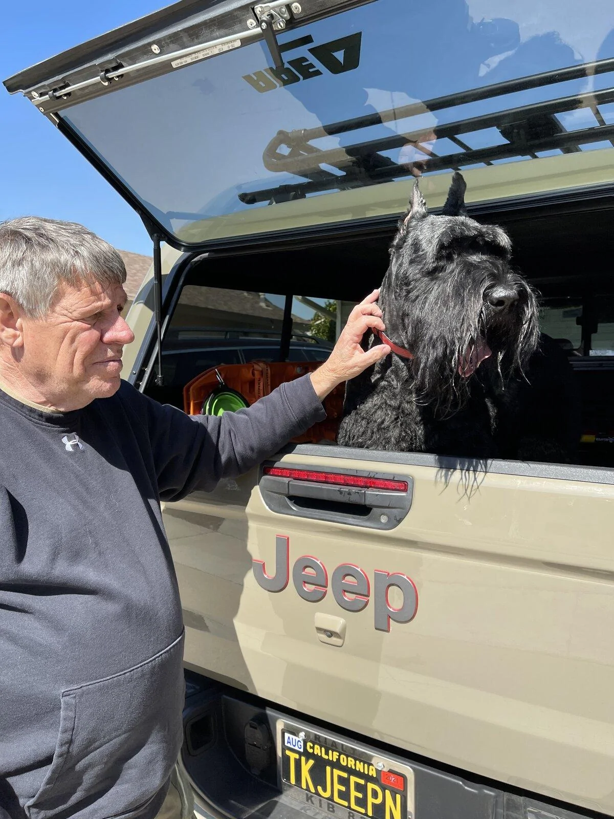 Jeep Gladiator Glad(iator) Dogs! Let's see 'em! Atti Jeep 3