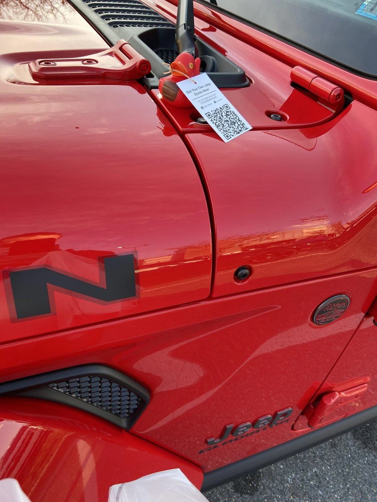 Jeep Gladiator Get a duck yet? DBF8B708-3730-4D08-B392-B85EA8012A7E