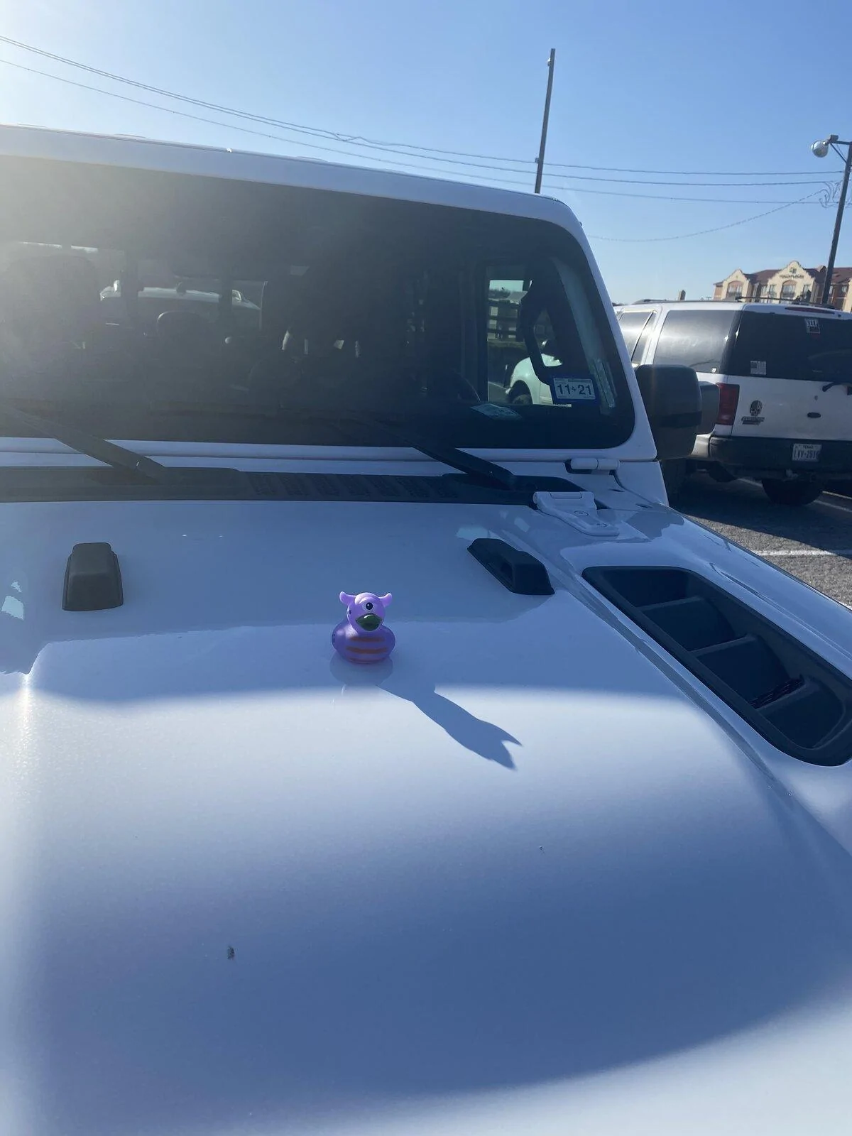 Jeep Gladiator Get a duck yet? 62983A78-682A-4572-B791-63CFFA3232CF