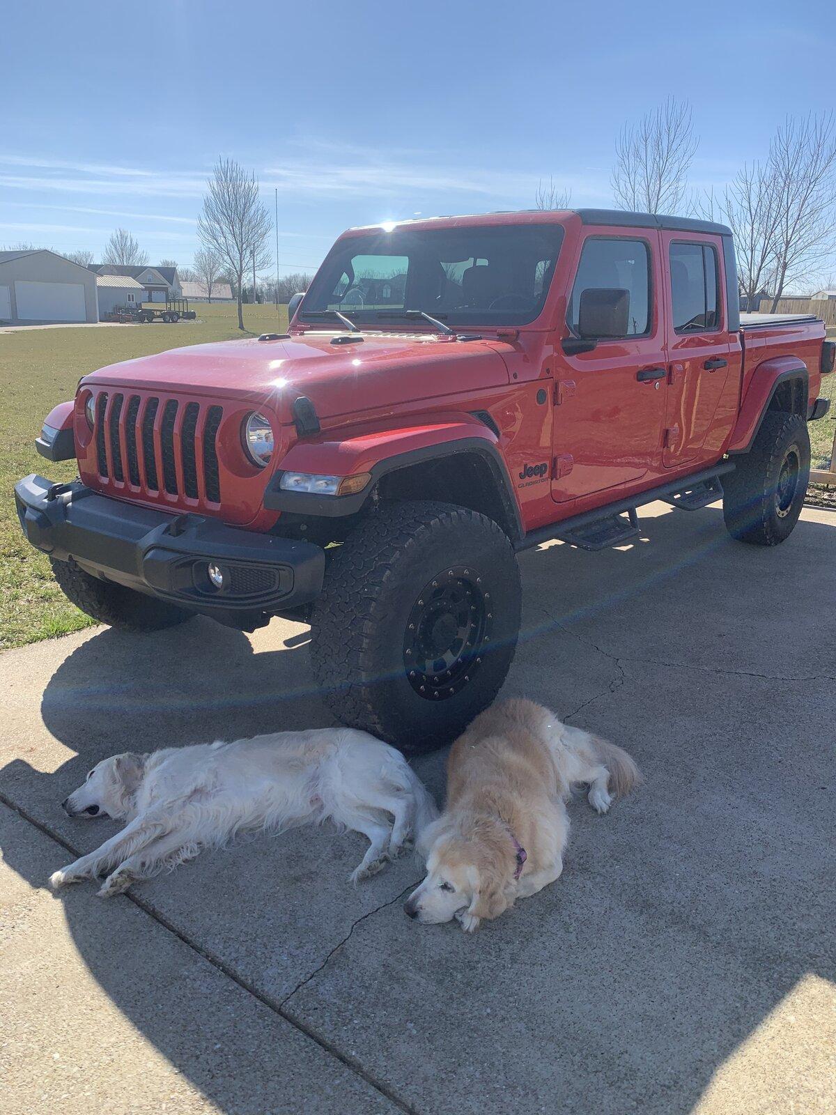 Jeep Gladiator Gladiator Dogs 087CB0BB-74E6-45C5-8F70-7D0AE23F6279