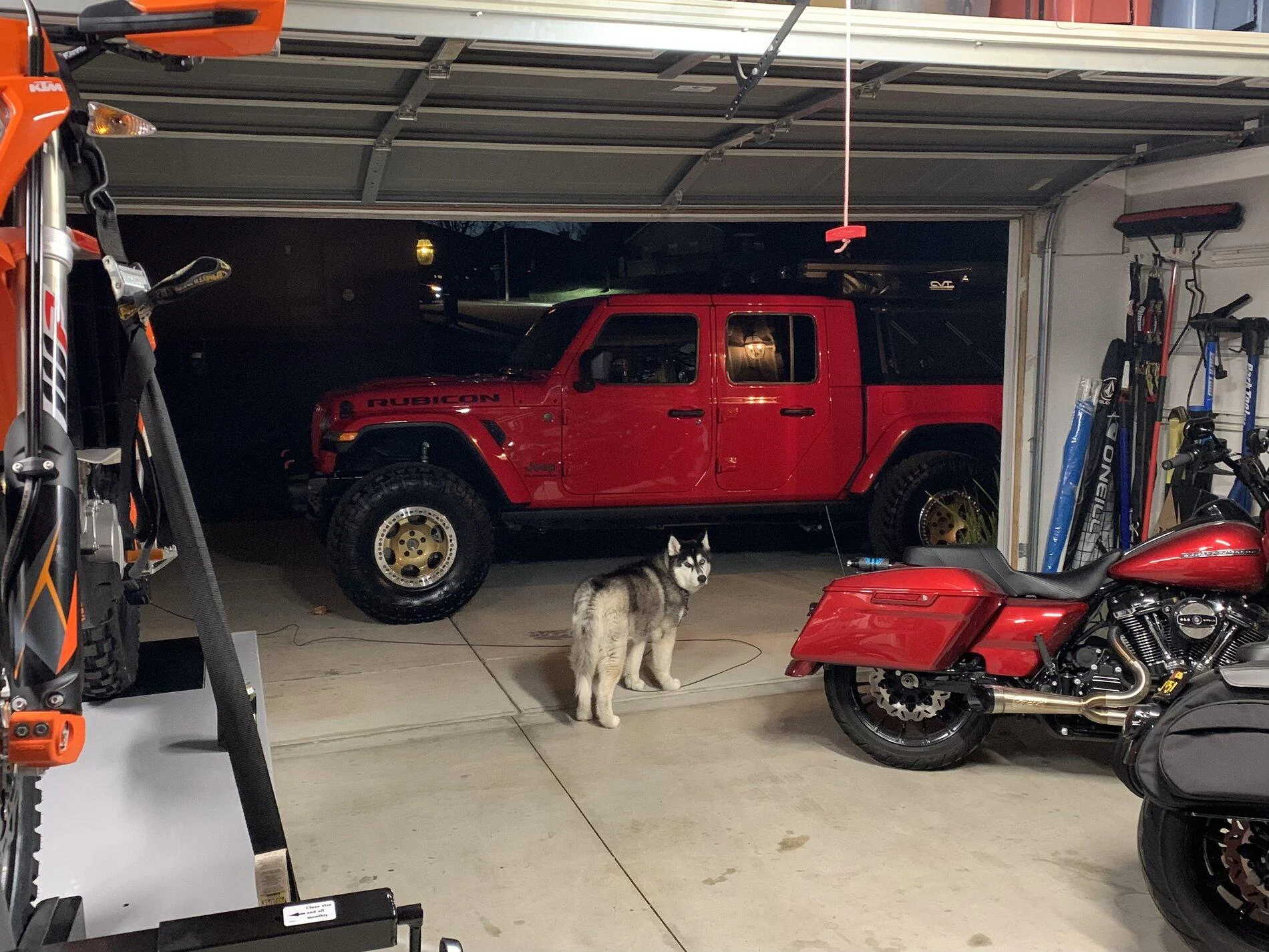 Jeep Gladiator Gladiator Dogs IMG_5901