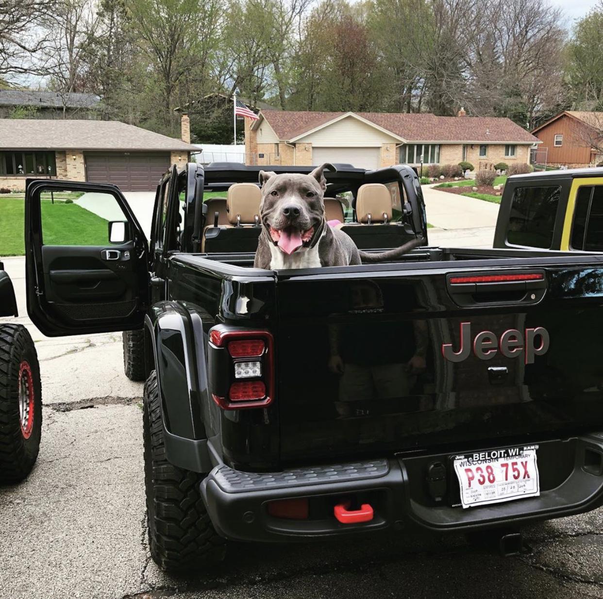 Jeep Gladiator Finally the bed hauling... 263AAD03-8AD3-4E95-8F01-FA9C481022E3