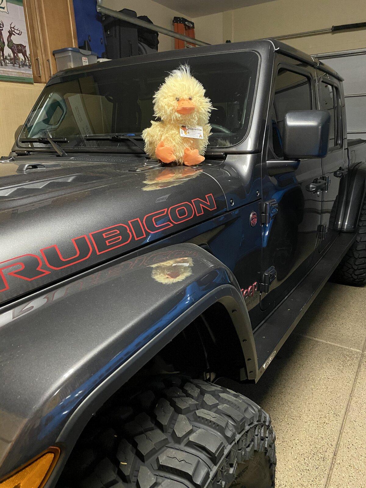 Jeep Gladiator Get a duck yet? 788A8289-8222-44D3-8770-B4645F796F7B