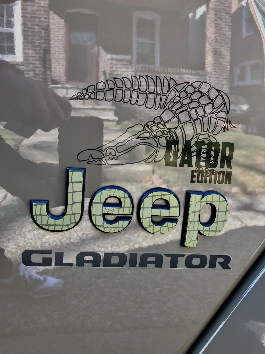 gatoredition2.jpeg