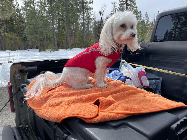 Jeep Gladiator What did you do WITH your Gladiator today? IMG_1109