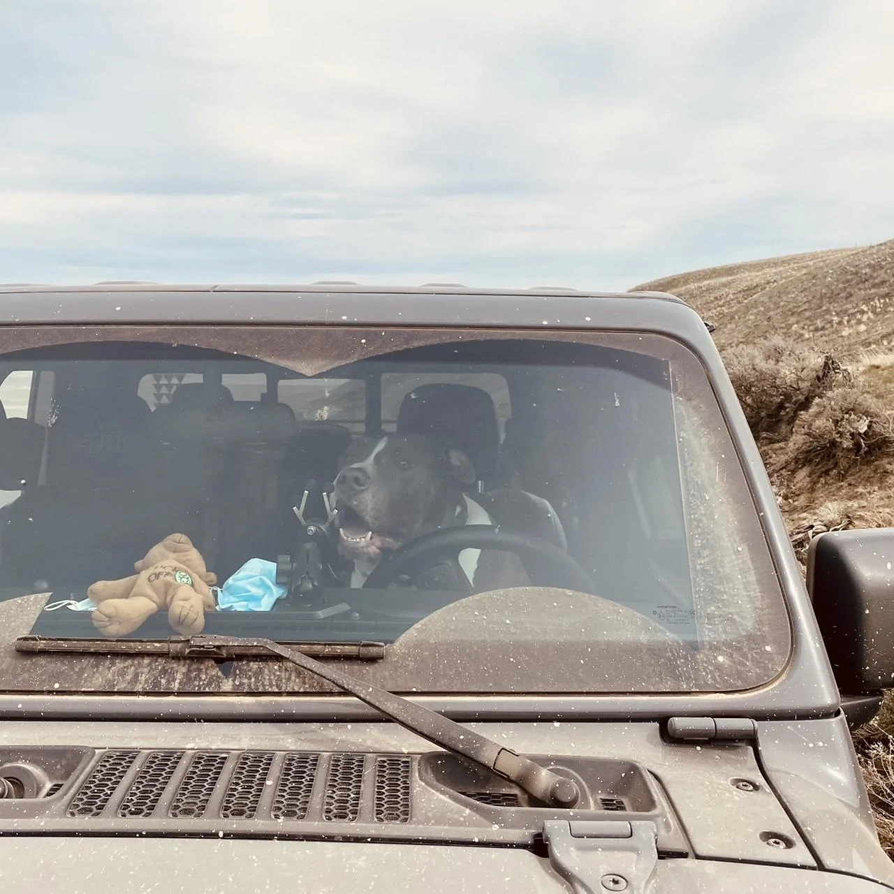 Jeep Gladiator What did you do TO your Gladiator today? [ADMIN WARNING: NO POLITICS, NO GUN TALK] 57652052-C150-4D85-B8D6-D20EC0DC361E