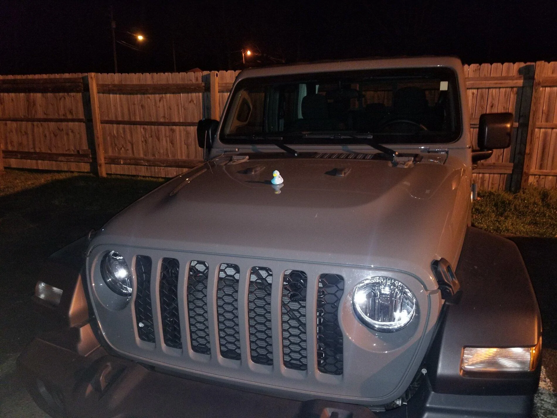 Jeep Gladiator Got Ducked! 20210321_024435