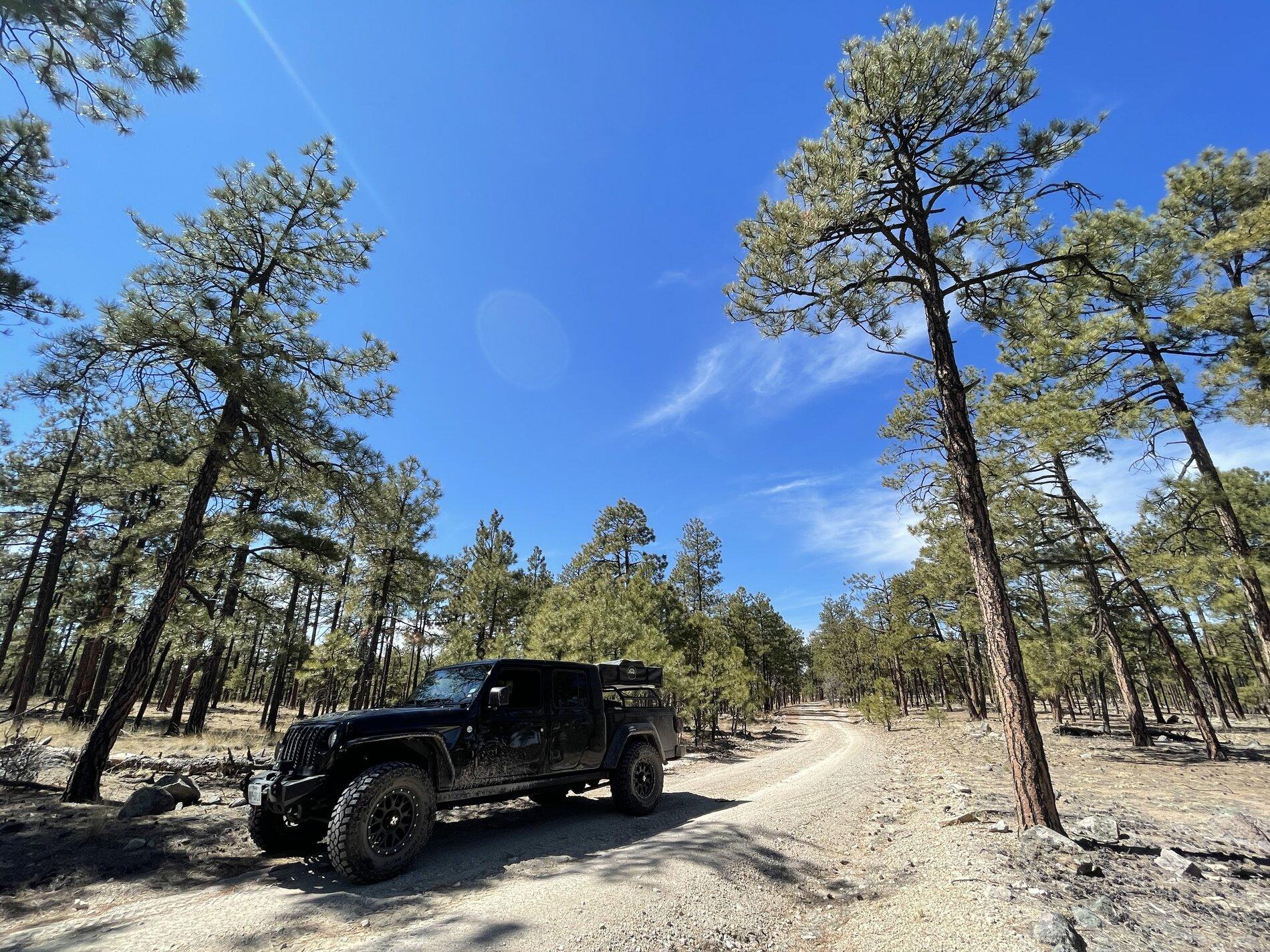 Jeep Gladiator Tumbleweed Offroad... Errr, Overlanding 4CF63773-2287-41CB-9BA9-AD8431CD2085