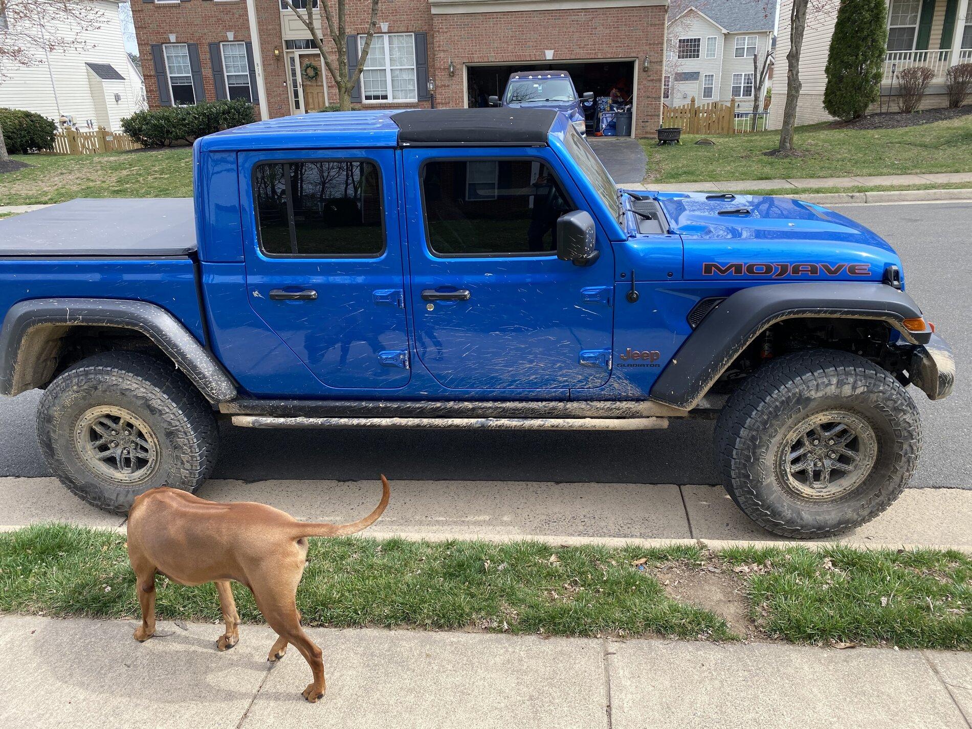 Jeep Gladiator MOJAVE Edition Gladiator JT Club 3FB584E3-AB25-42C1-ACC9-272DE1883FA7