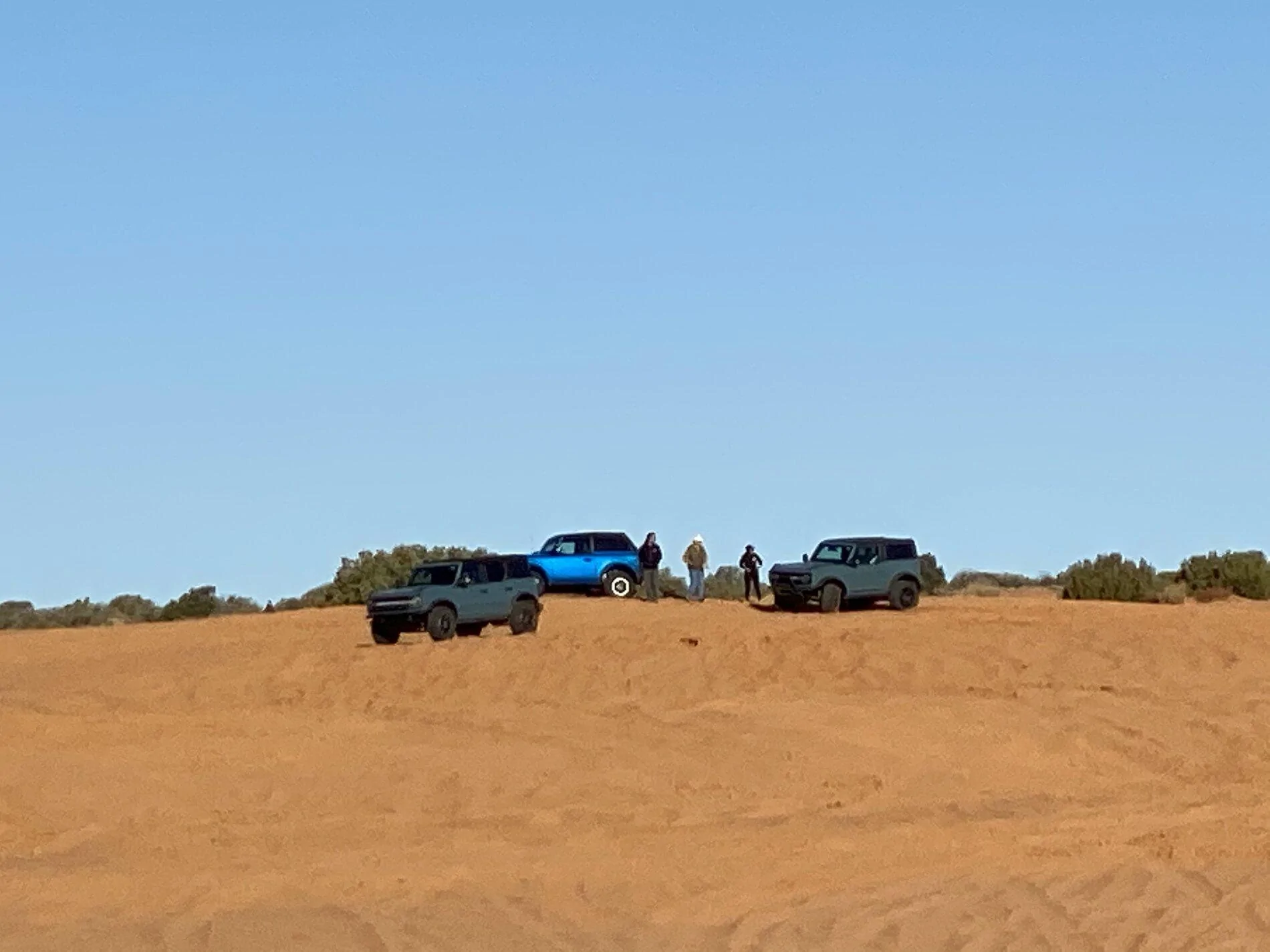Jeep Gladiator Immature Bronco “Adults” @ Moab 49261887-61E2-4052-B5C2-D747C854C010